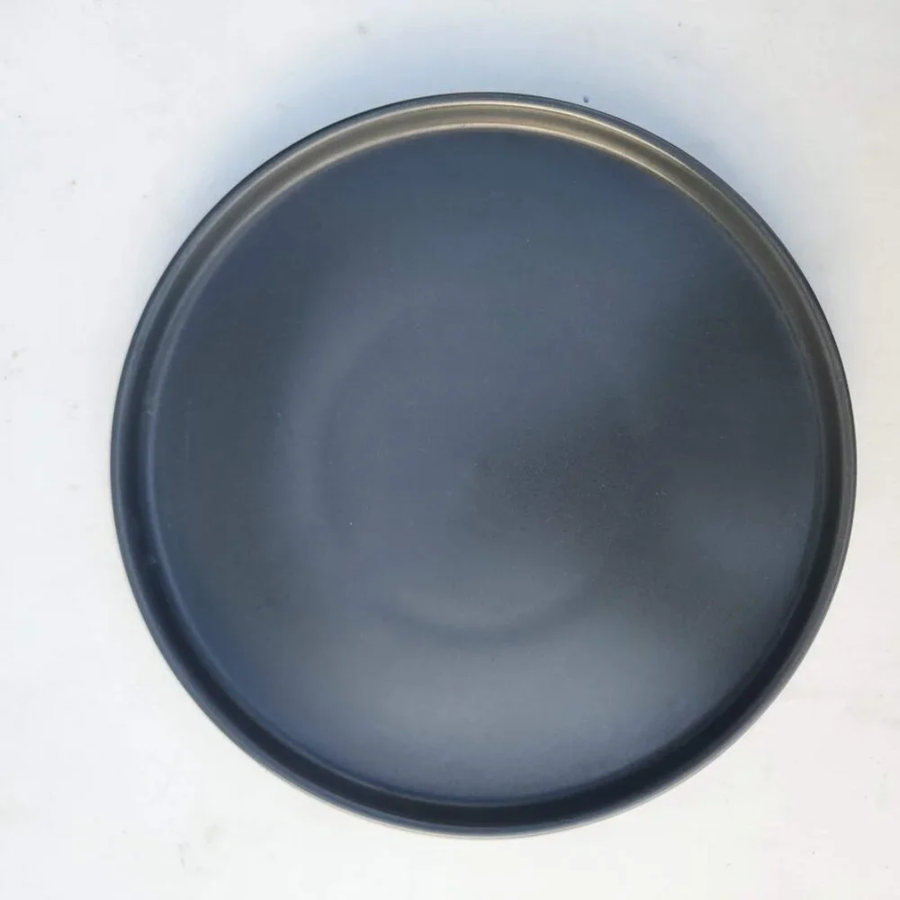 NEW 2X Stone Lain Stoneware Round Dinner Plate Dinnerware Gray Replacement Matte